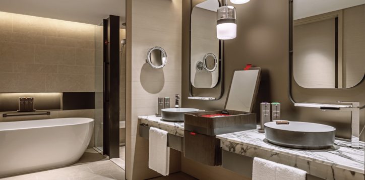 skyline-suite-bathroom-2