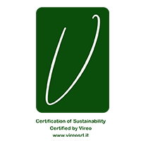 vireo_gstc-2