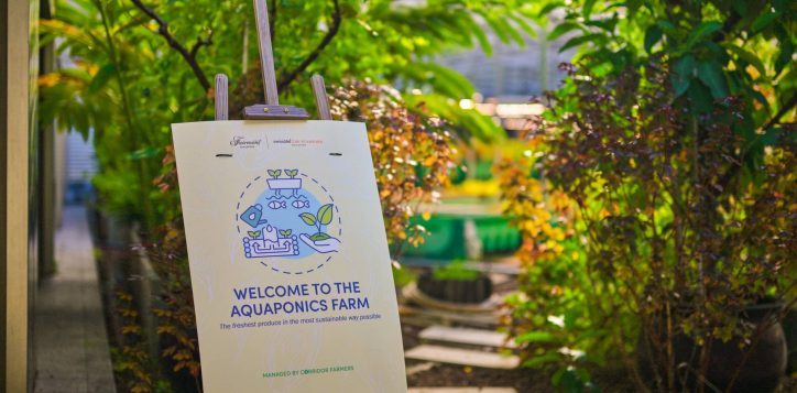 aquaponics-farm_2-2