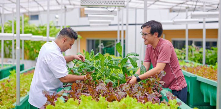 wfs-2024-from-farm-to-table-a-mindful-eating-experience_key-visual-2