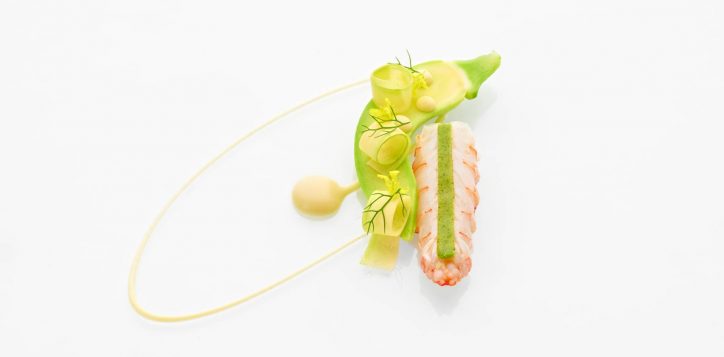 jaanbykirkwestaway-langoustine-2