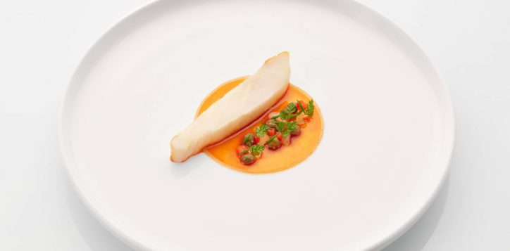 jaanbykirkwestaway-wild-turbot-2