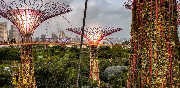 gardens-by-the-bay-2