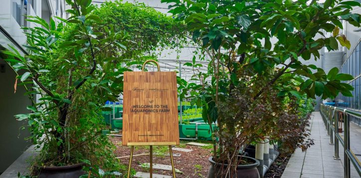 new-aquaponics-farm-sign_1-2